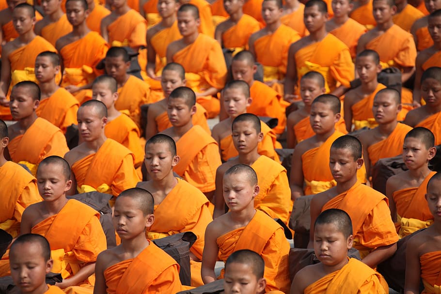 Monjes, orando, durante el día, Tailandia, budistas y novicios, meditar, budismo, niños, naranja, túnicas