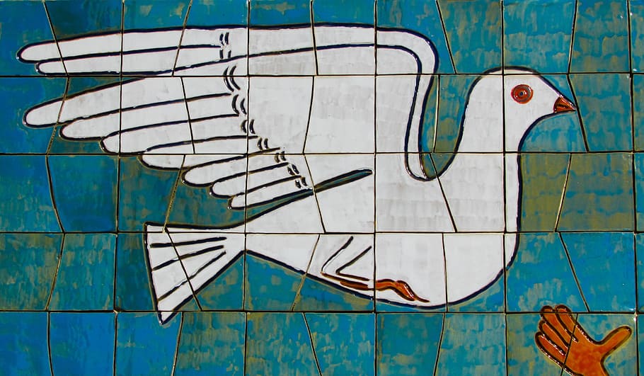 Peace, Symbol, Pigeon, White, Freedom, peace, symbol, dom, harmony, pacifism, cyprus