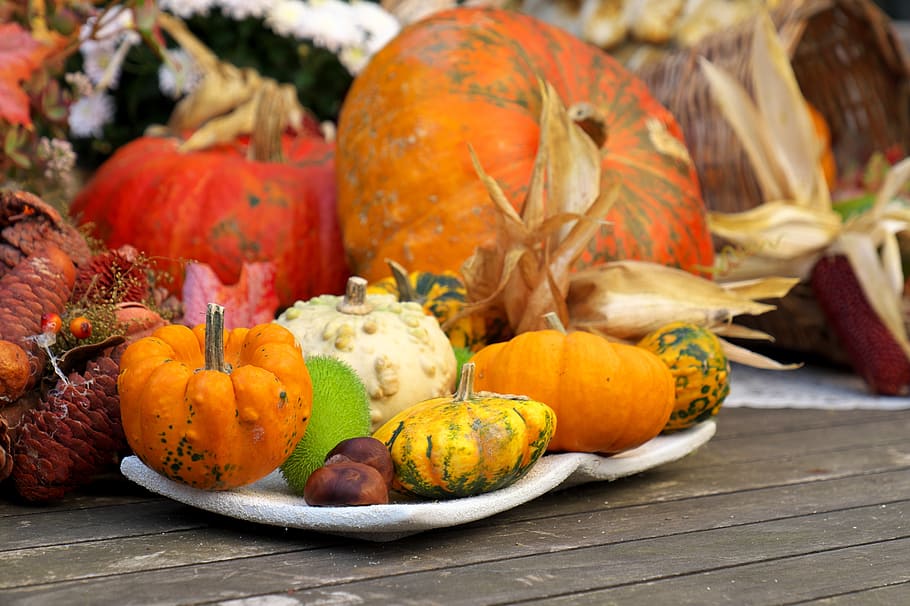 盛り合わせ, 野菜, プレート, 秋, スタイルバイト, 装飾, 収穫, 秋の装飾, 装飾的なカボチャ, 色