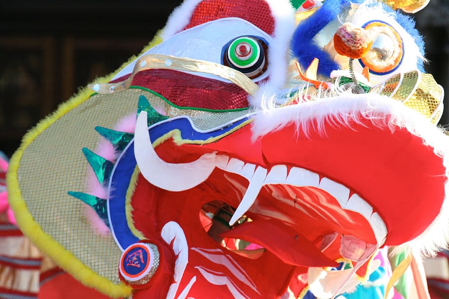 빨강, 흰색, 중국 용 거리 춤, 용, 중국, 새해, 표현, 클로즈업, 미술과 공예, 아니 사람