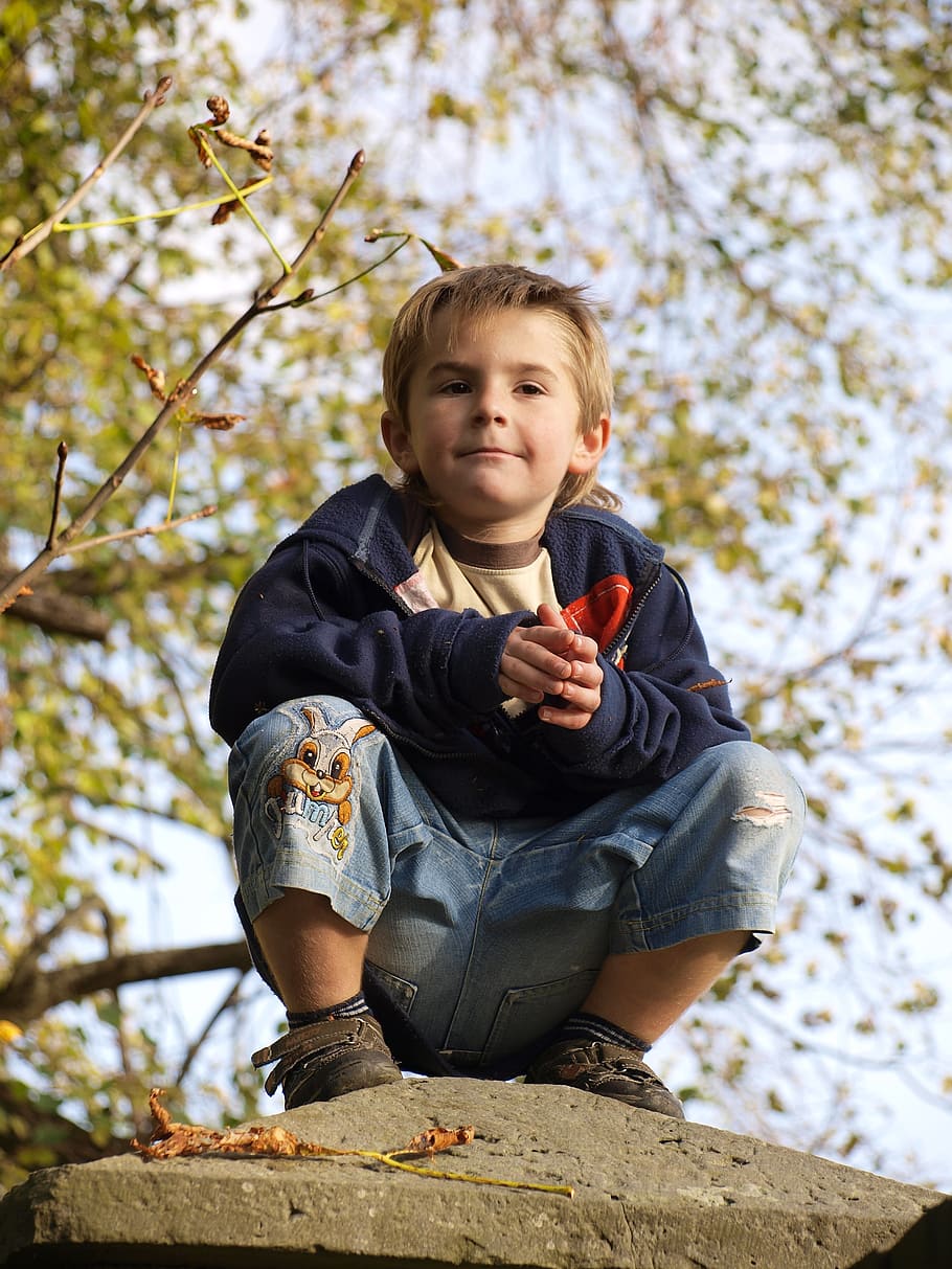 musim gugur, anak, jongkok, anak laki-laki, masa kanak-kanak, pohon, satu orang, tanaman, laki-laki, kegiatan rekreasi