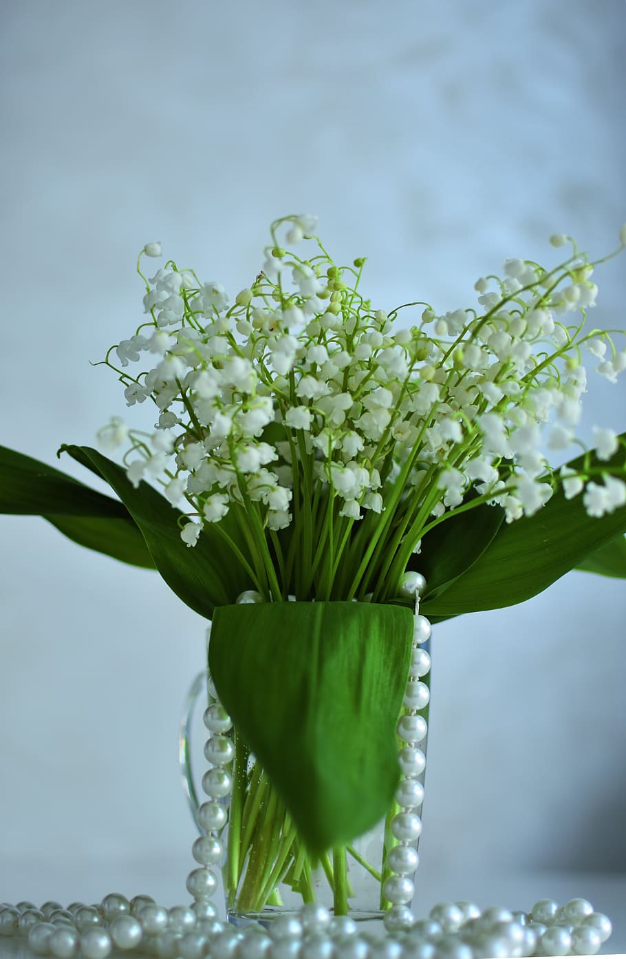 lilies of the valley, flowers, spring, bouquet, flower, plant, flowering plant, green color, freshness, nature