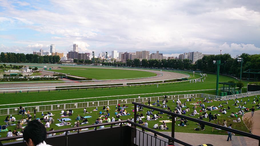 racecourse, horse racing, horse, gambling, architecture, built structure, building exterior, city, sky, sport