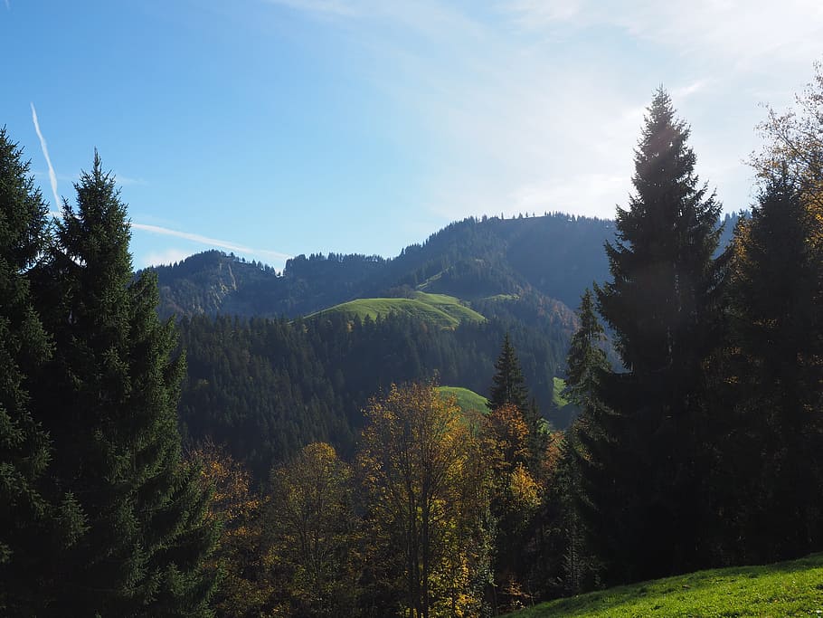 montaña, cuenco, caminata, destino, suiza, cumbre de la montaña, napfbergland, colina, colinas, semental