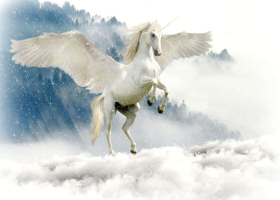pegasus, cloudy, sky, unicorn, mythical creatures, fairy tales, mystical, horse, wing, mythical animal