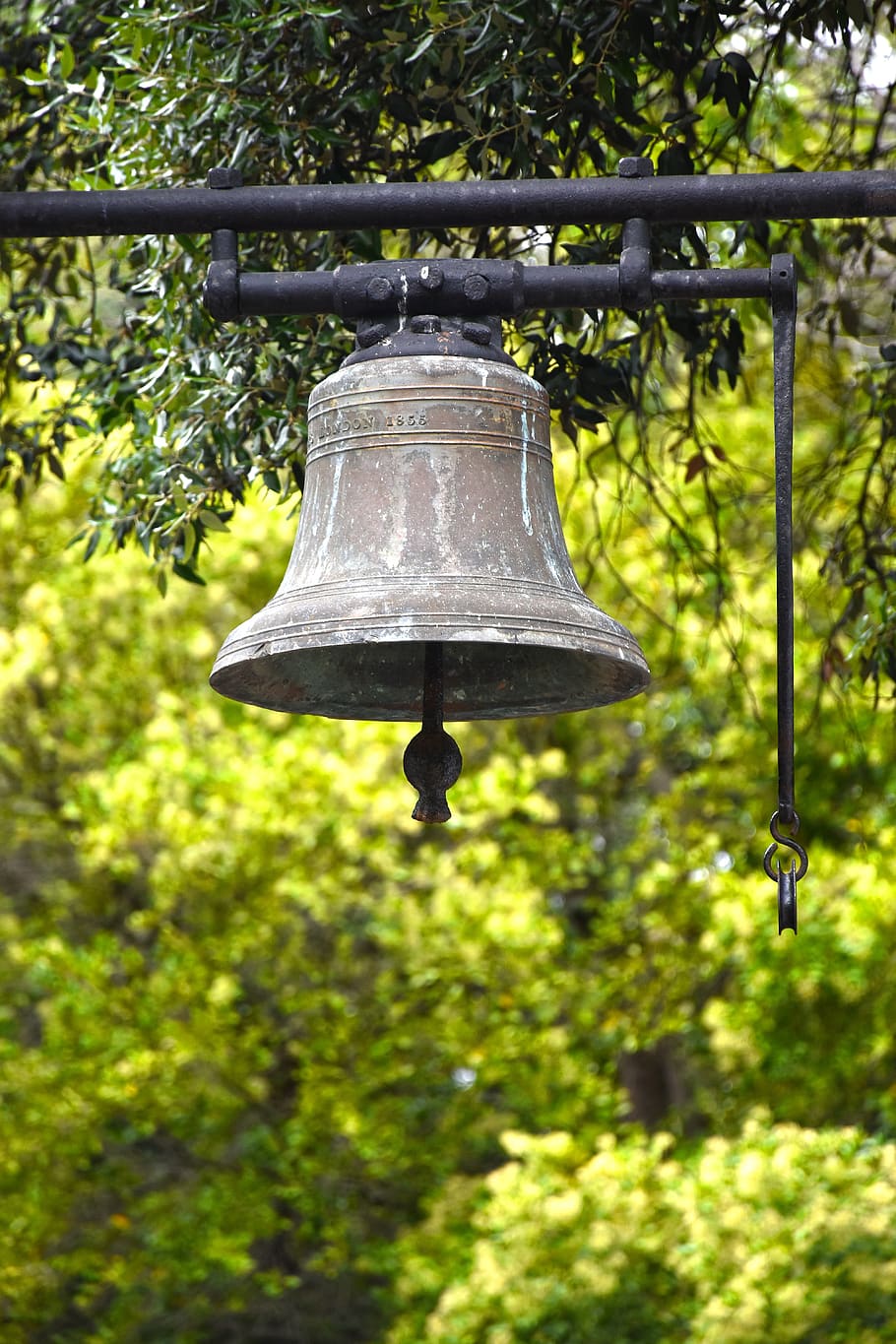 bell, africa, cape town, travel, plant, hanging, tree, focus on foreground, day, nature
