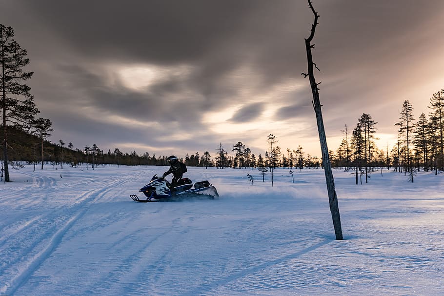 Lapland, Polar Winter, Snowmobile, winter, sport, ski doo, snow vehicle, the midday sun, fun, winter sports