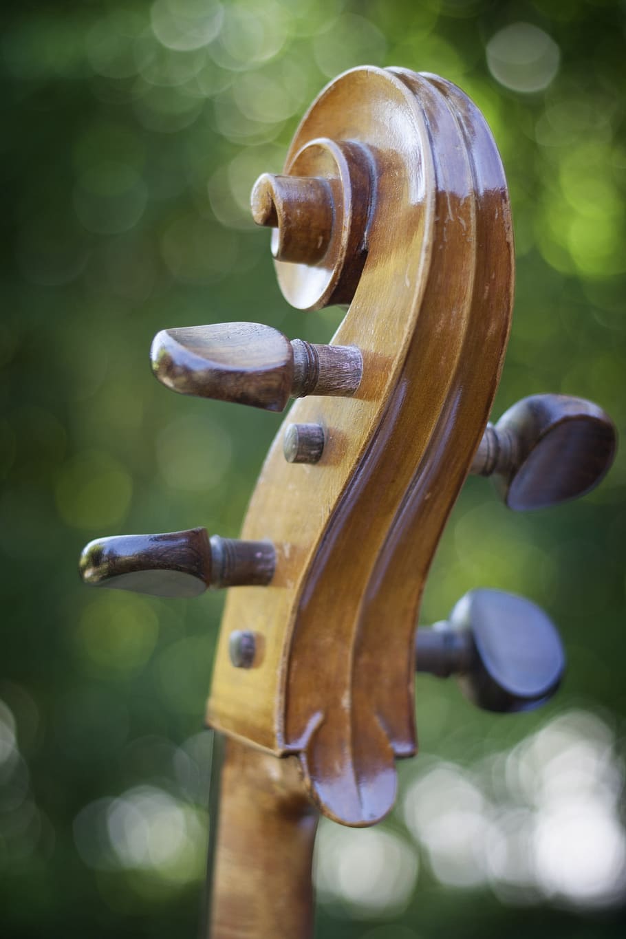 selective, focus photography, brown, instrument headstock, Cello, Stringed Instrument, instrument, violin, wood - Material, musical Instrument