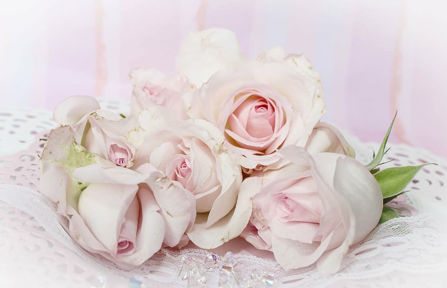 bunga mawar merah muda, mawar, romantis, latar belakang, pink, merah muda kehitaman, vintage, lusuh chic, pernikahan, undangan