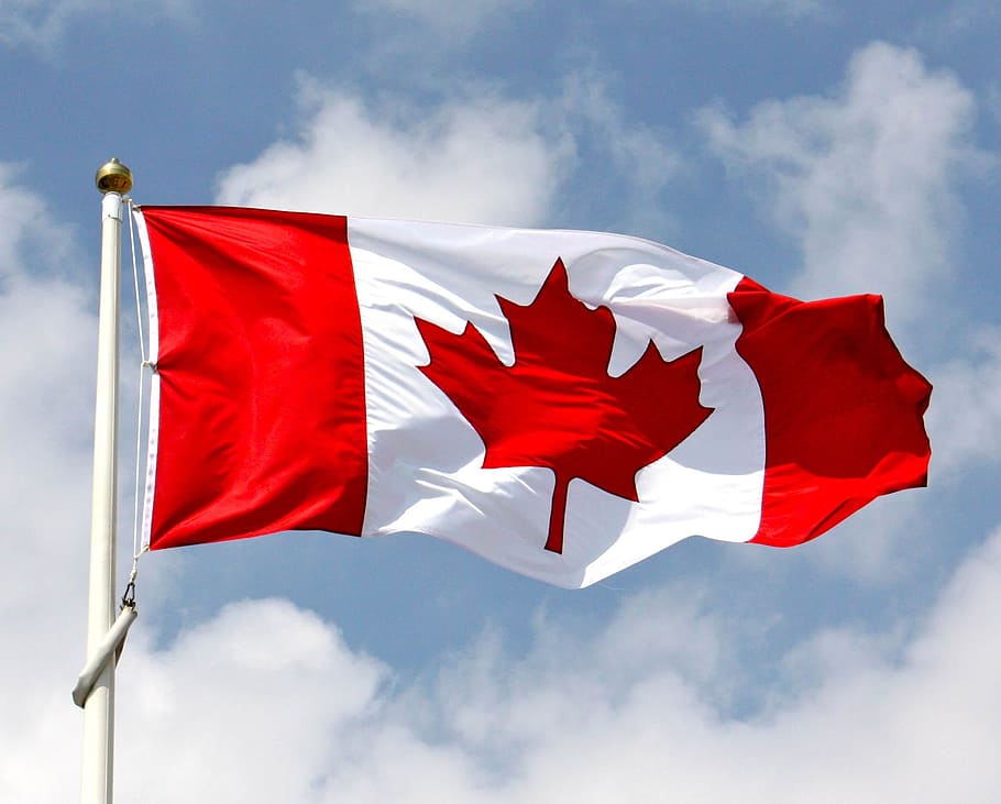 acenando, bandeira do canadá, pólo, dia, nacional, bandeira, canadá, céu, vento, azul