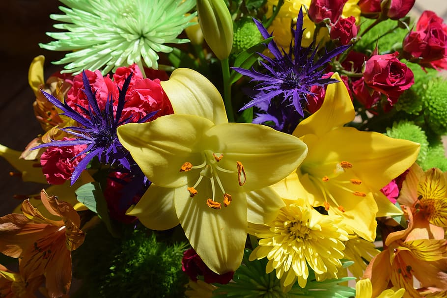 Colorful, Flower Bouquet, Blossom, colorful flower bouquet, flower, bloom, nature, yellow, red, purple