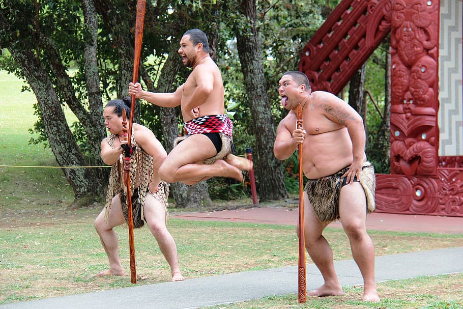 maorí, hombres, salto, lanza, luchador, guerrero, haciendo una cara, nueva zelanda, cultura, tradición