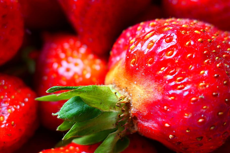 Пол ягодки. Сочные картинки. Сочные картинки на рабочий. Плод клубники. Красные фрукты и ягоды картинки.
