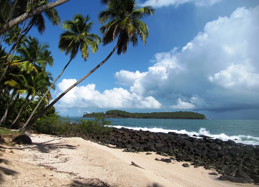 pantai, pulau keselamatan, guyana, lanskap, pulau santo joseph, laut, air, langit, pohon, iklim tropis