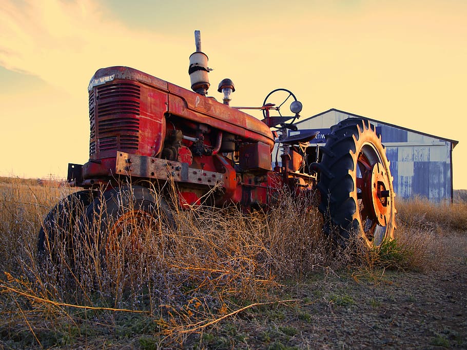 red, tractor, dry, grass, agriculture, machine, rural, farming, plowing, equipment