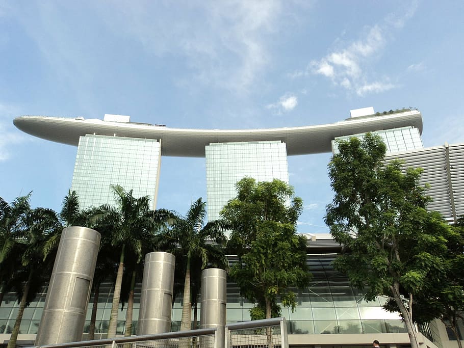 シンガポール, 旅行, 建築, 構造, 建物, 観光スポット, 構築された構造, 建物の外観, 空, 木