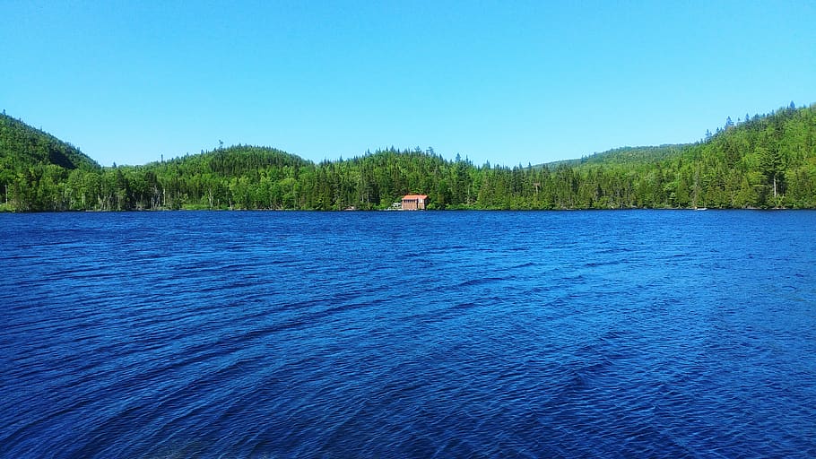 cabin, lake, recluse, isolated form, forest, nature, hut, idyllic, day, house