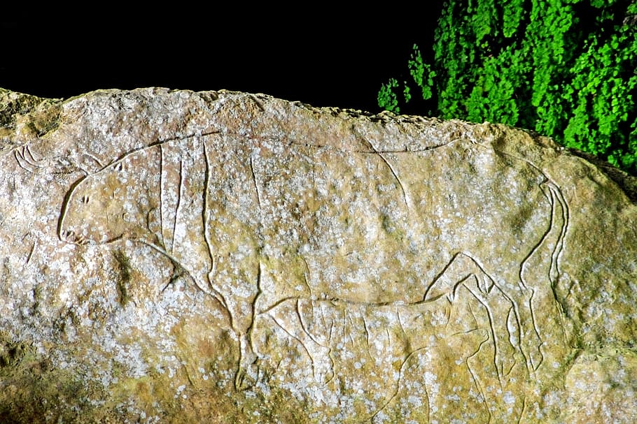 Cueva, Ermitaño, Graffiti, cueva del ermitaño, paleolítico, bos primigenius, uro, buey primordial, prehistoria, grabado en roca