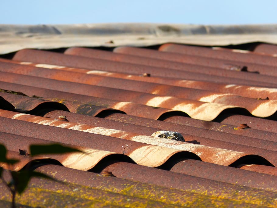 Uralita, Tin, Roof, Barraca, tin roof, veneer undulating, rusty, outdoors, day, travel destinations