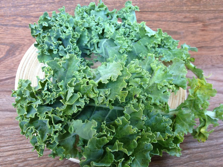 green, salad, table mat, kale, vegetable, curly kale, plant, produce, food, food and drink