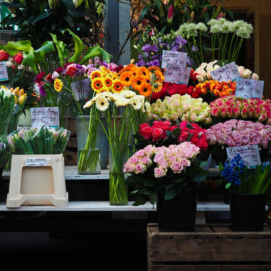 Flowers, Market, flowers was, flower trade, market day, market stall, flowers for sale, sales stand, colorful, düsseldorf