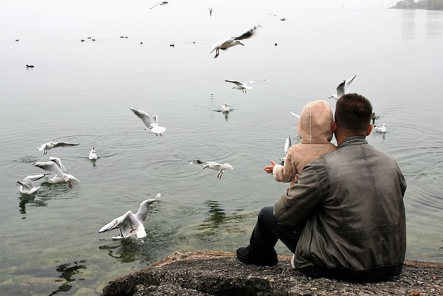 man carrying baby, the father of the child, love, lake, haze, the seagulls, bodensee, bird, animals in the wild, animal wildlife