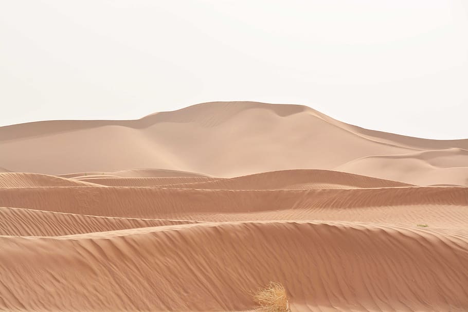 sahara, amplo, paisagem, deserto, areia, duna de areia, paisagens - natureza, terra, tranquilidade, meio ambiente
