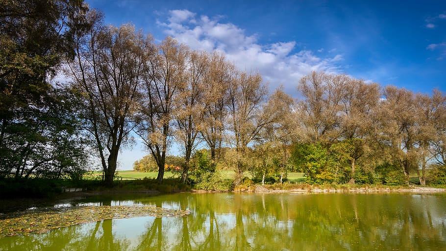 pond, lake, water, waters, river, bank, rest, trees, still, landscape