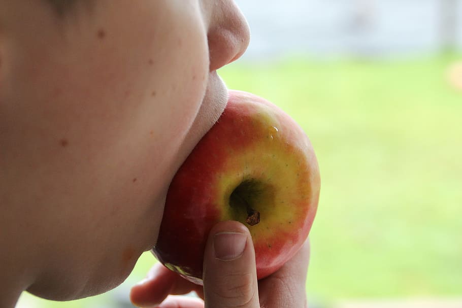 manzana, morder, alimentar, comer, vitaminas, morder puramente, saludable, comida, dulce, deliciosa