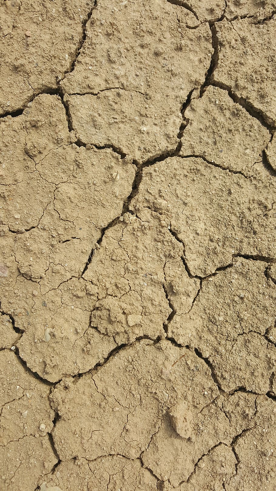 earth, soil, fracture, the cultivation of, farmer, drought, precipitation, field, clay, sand