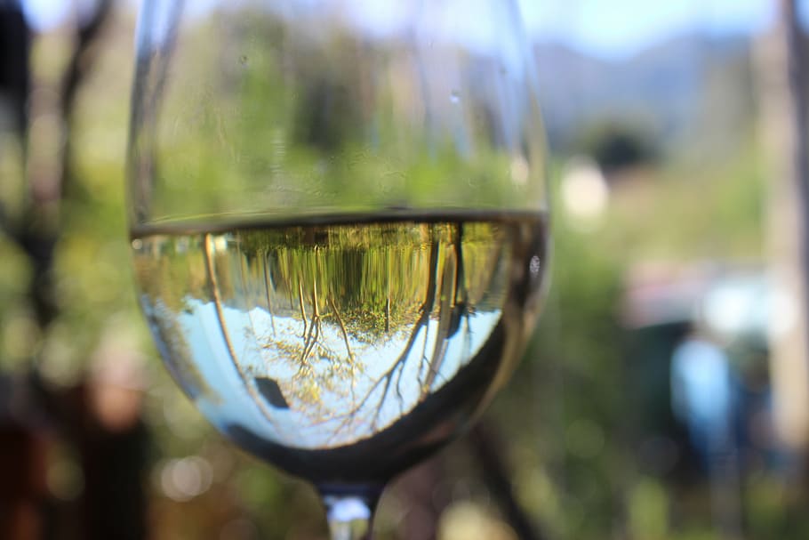 selective, focus photography, half-filled, water, wine glass, wine, white wine, glass, wineglass, alcohol