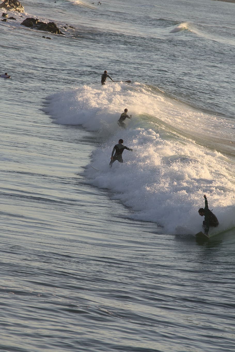 surfar, biarritz, onda, verão, frança, agua, mar, movimento, animal, vertebrado
