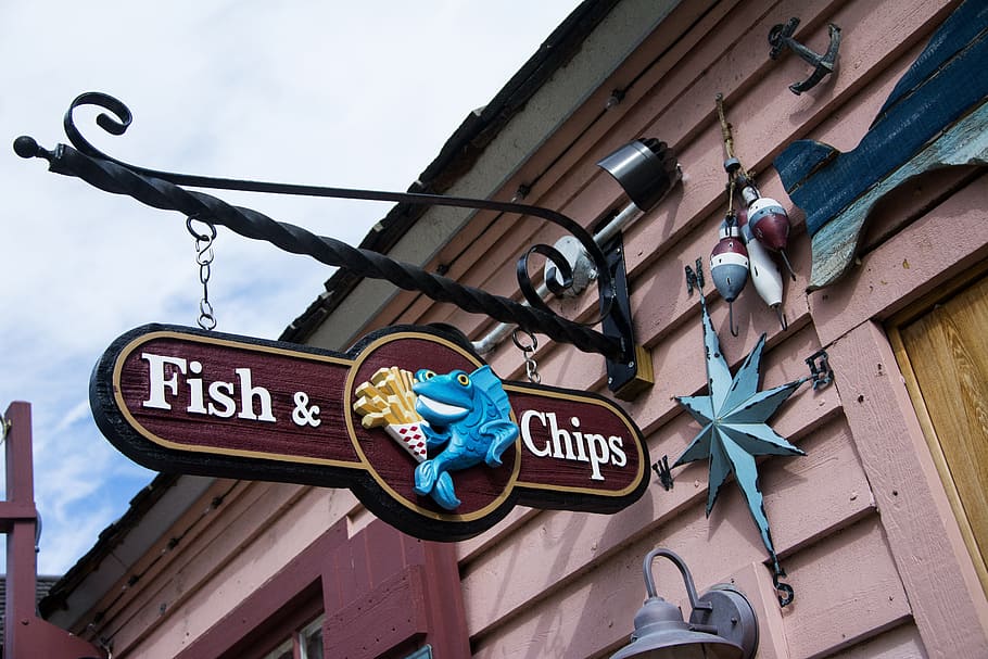 street, signalise, outdoors, travel, city, fish, chips, st, augustine, florida