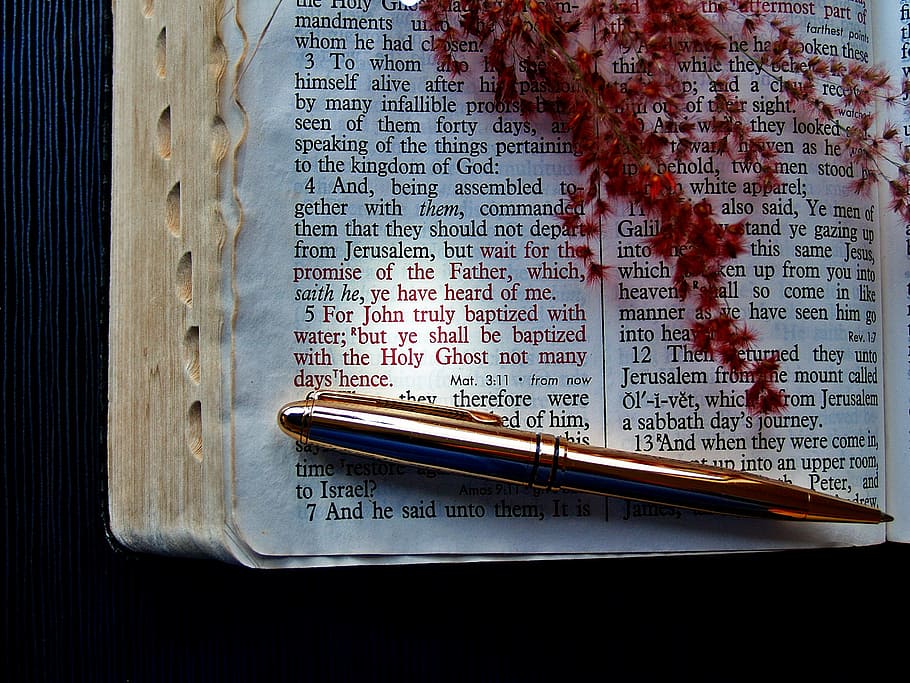 white bible page, bible, verse, god, pen, holy ghost, holy spirit, text, grass, pink