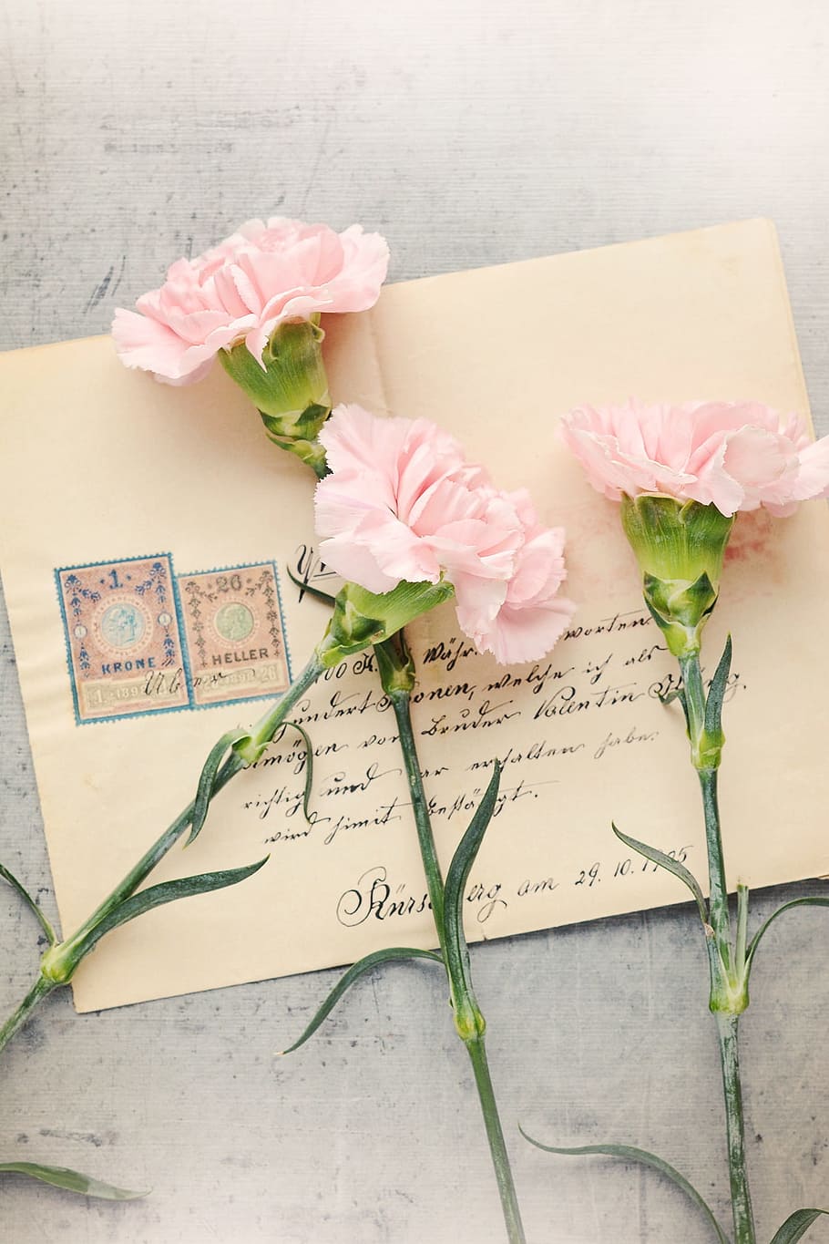 three, pink, petaled flowers, letters, envelope, old, antique, post, labeled, paper