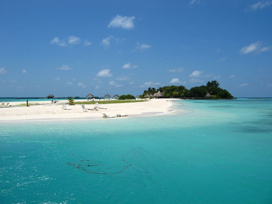 Mar, Maldivas, Vacaciones, Playa, atolón norte de Malé, palmeras, arena, verano, palma, azul