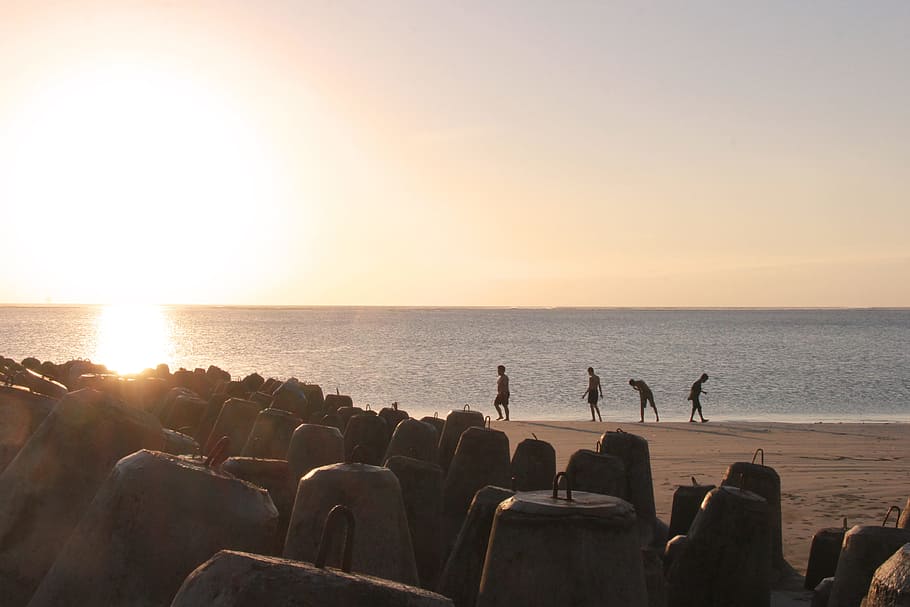 people, standing, shoreline, sunset, play, cheerful, together, se, fun, friendship