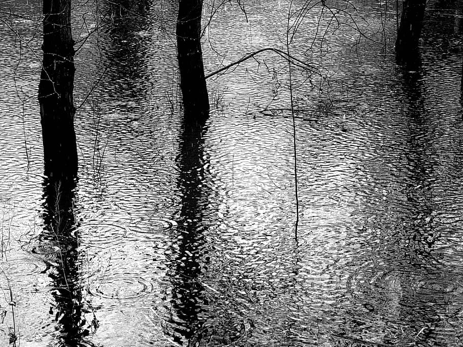 grayscale photography, body, water, grayscale, photography, body of water, rain, forest, black and white, puddle