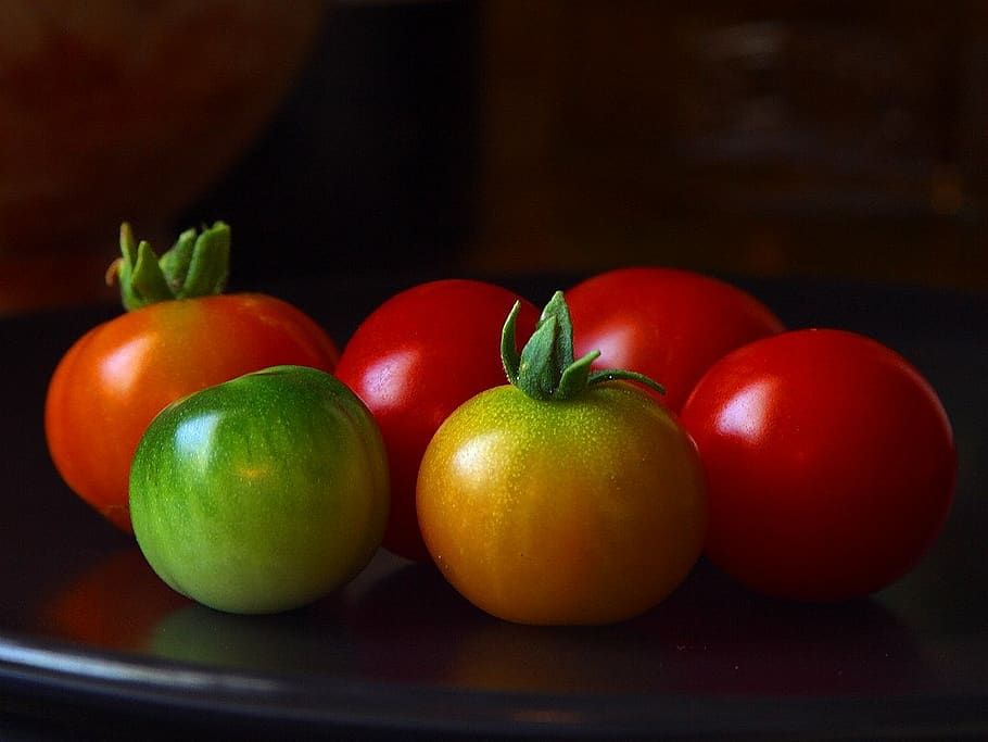 tomat, hijau, merah, masih hidup, bahan, makan, sayuran, sehat, bio, tanaman