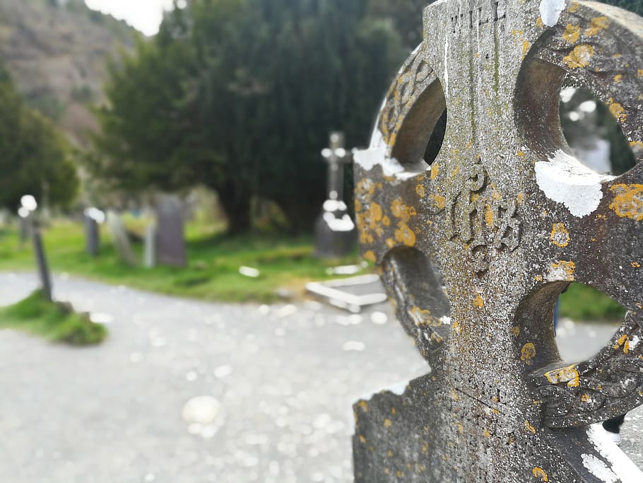 ireland, monastery, ruin, celts, cross, celtic cross, nature, in the, day, close-up