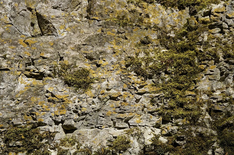 structure, limestone, rock, moss, fouling, overgrown, texture, background, stone, nature
