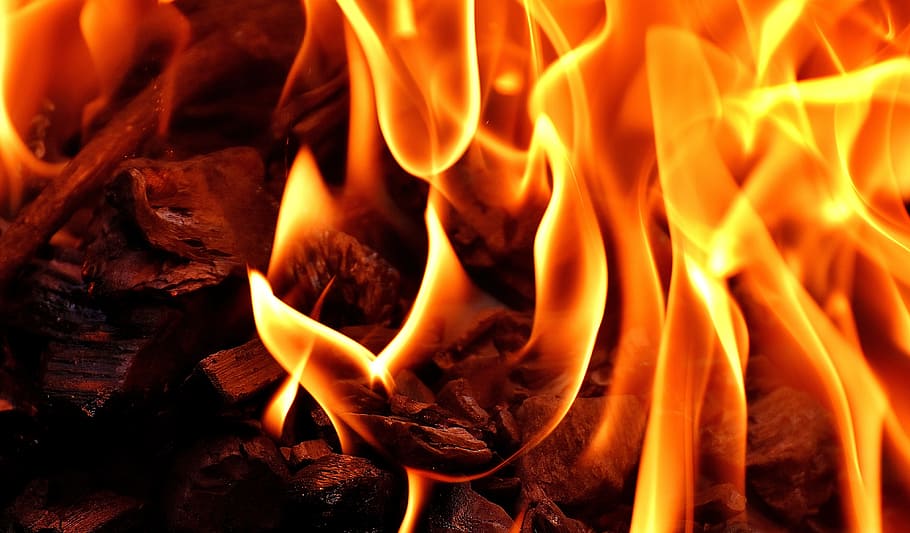 brown fire illustration, brown, fire, illustration, flame, carbon, burn, hot, mood, campfire