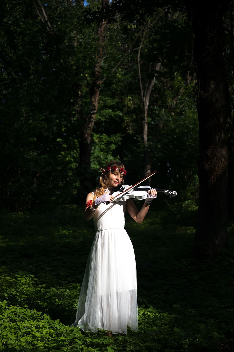 violinist, violin, elf, forest, music, atmosphere, sound, sun, story, ears