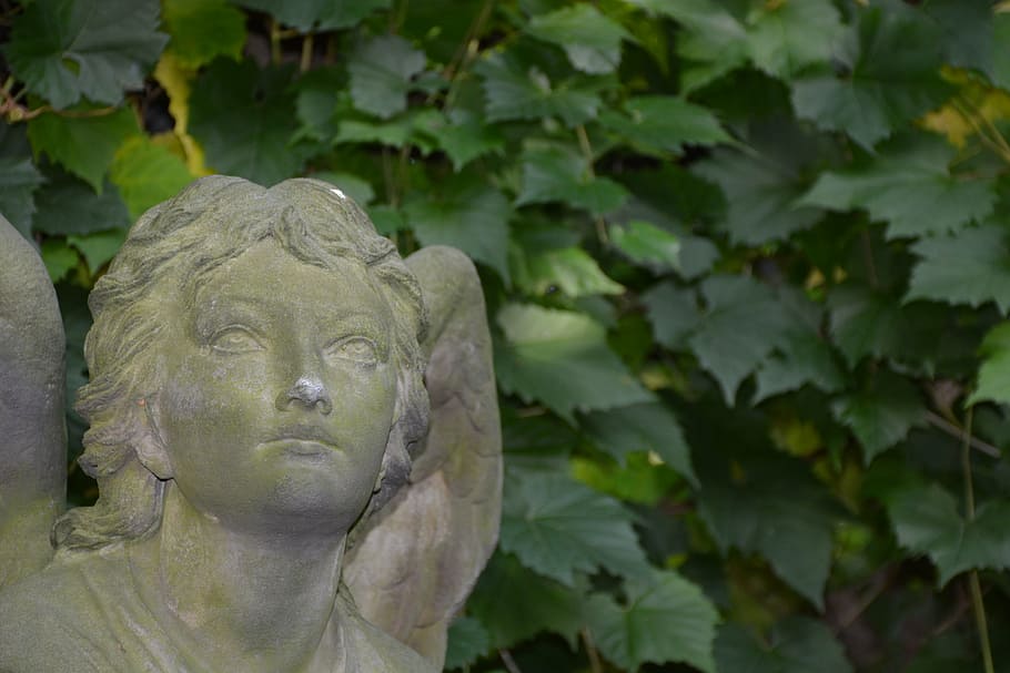 white, concrete, angel statue, plant, farewell, cemetery, potsdam, bornstedt, grave, hope