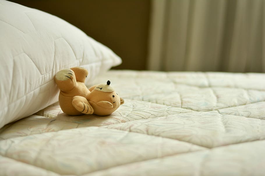 brown, white, teddy, bear, Mattress, Bed, Pillow, Sleep, Relax, relaxation