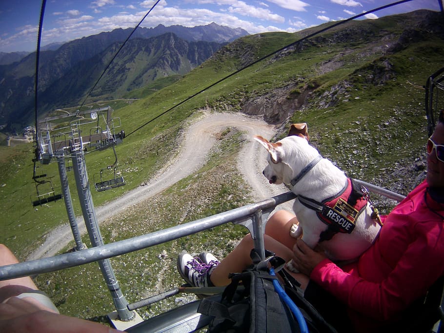 dog, chairlift, mountains, hiking, real people, mountain, lifestyles, transportation, leisure activity, men