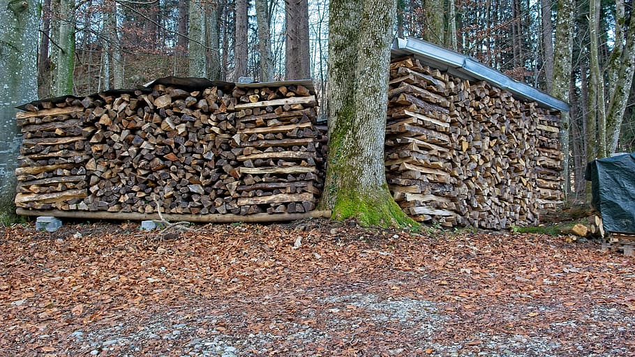 firewood, logs, holzstapel, stacked up, stack, nature, stock, storage, growing stock, pile of wood