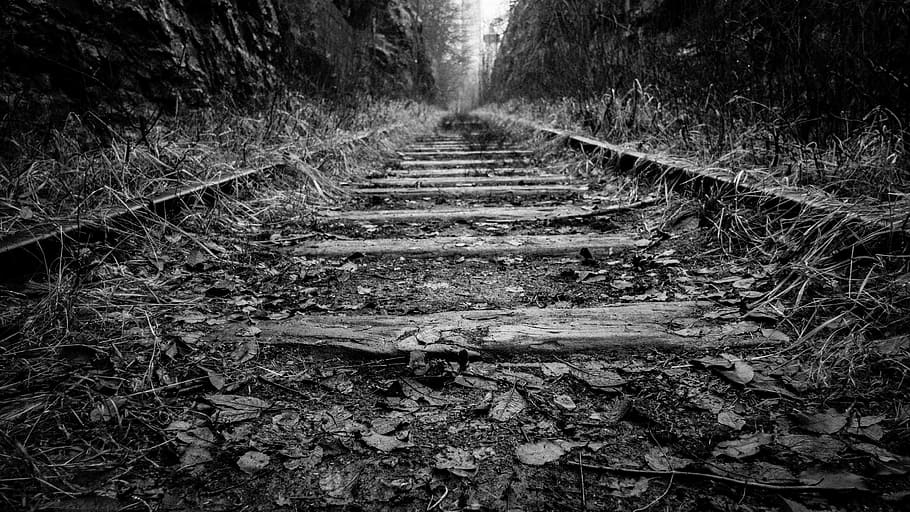 grayscale photo, train rail, tree, rail, trail, train, grass, black and white, wood, forest