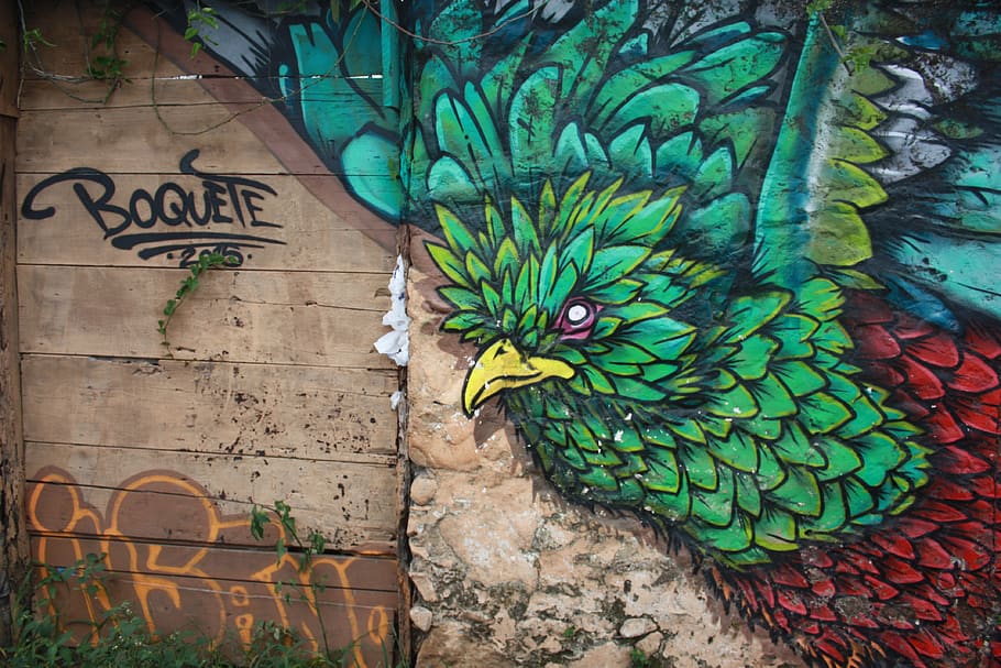 quetzal, topical, bird, rainforest, colorful, natural, feather, exotic, graffiti, dom