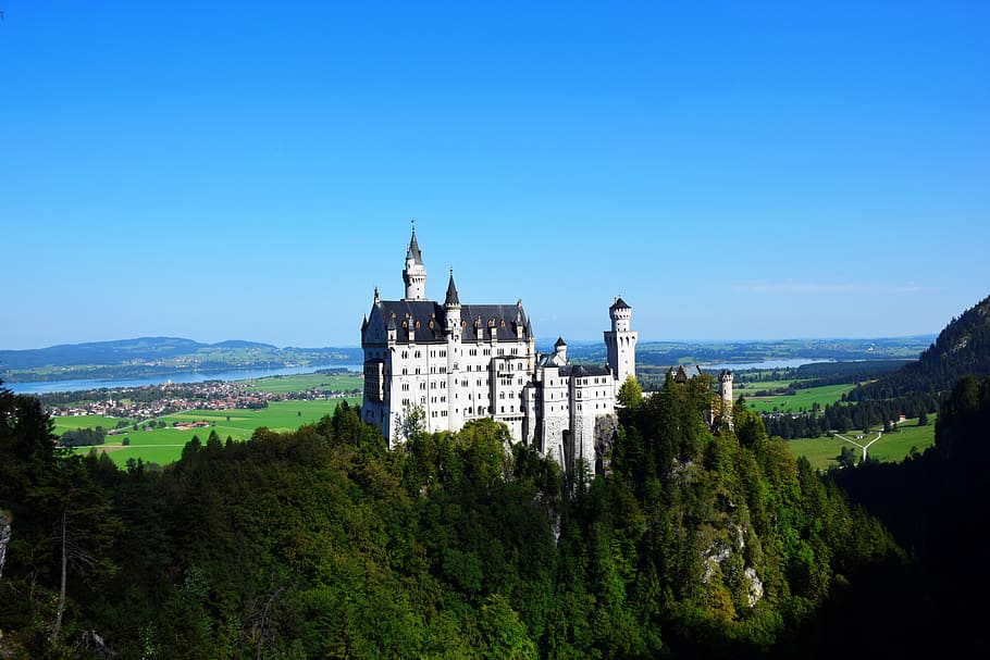 blanco, hormigón, castillo, rodeado, árbol, durante el día, Neuschwanstein, Alemania, Bayern, arquitectura